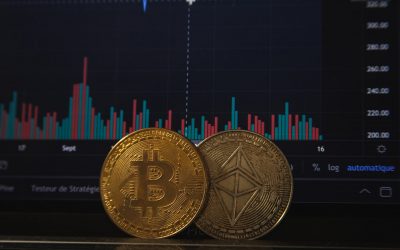 La storia mai raccontata delle Crypto.